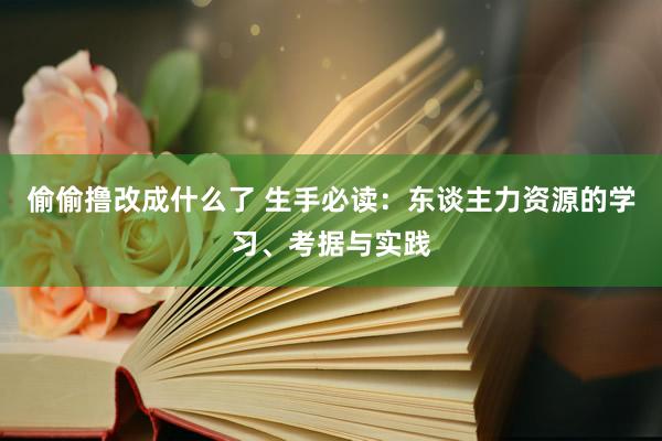 偷偷撸改成什么了 生手必读：东谈主力资源的学习、考据与实践