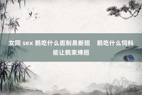 女同 sex 鹅吃什么扼制易断翅    鹅吃什么饲料能让鹅束缚翅