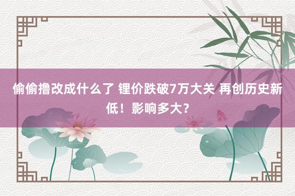 偷偷撸改成什么了 锂价跌破7万大关 再创历史新低！影响多大？