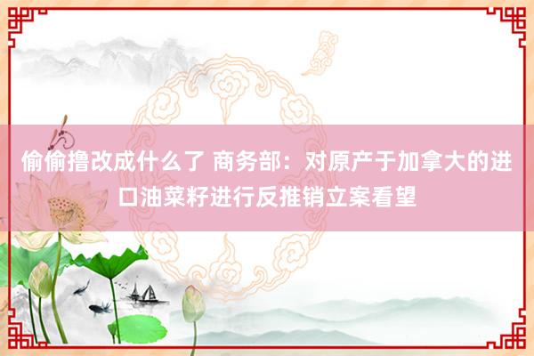 偷偷撸改成什么了 商务部：对原产于加拿大的进口油菜籽进行反推销立案看望