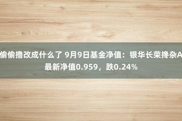 偷偷撸改成什么了 9月9日基金净值：银华长荣搀杂A最新净值0.959，跌0.24%