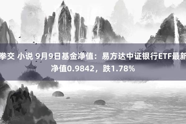 拳交 小说 9月9日基金净值：易方达中证银行ETF最新净值0.9842，跌1.78%