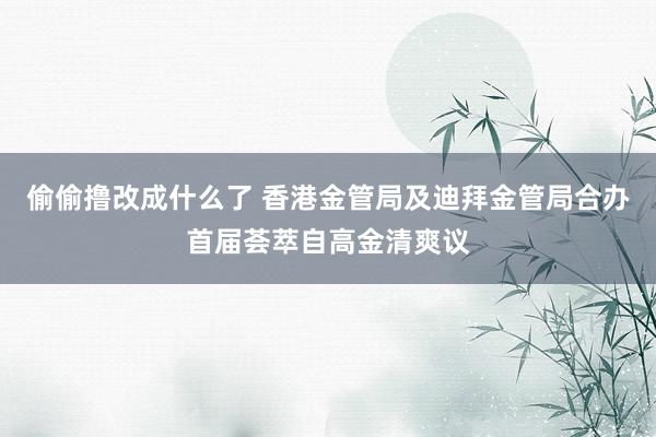 偷偷撸改成什么了 香港金管局及迪拜金管局合办首届荟萃自高金清爽议