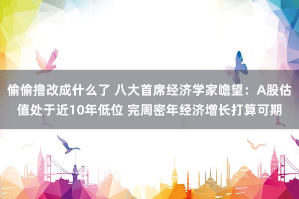 偷偷撸改成什么了 八大首席经济学家瞻望：A股估值处于近10年低位 完周密年经济增长打算可期