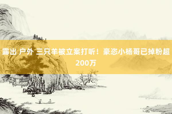 露出 户外 三只羊被立案打听！豪恣小杨哥已掉粉超200万