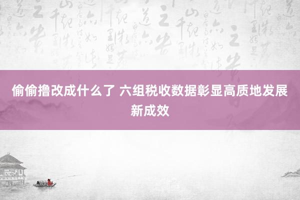 偷偷撸改成什么了 六组税收数据彰显高质地发展新成效