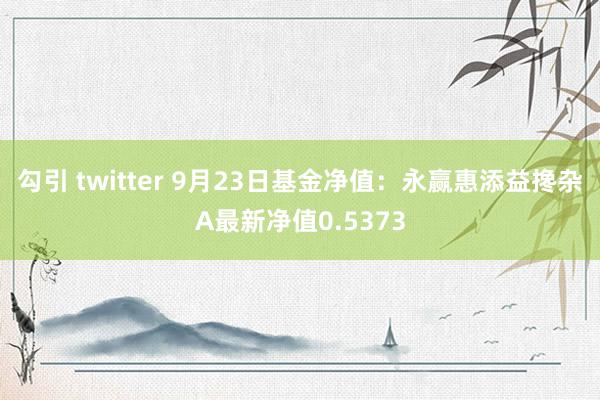 勾引 twitter 9月23日基金净值：永赢惠添益搀杂A最新净值0.5373