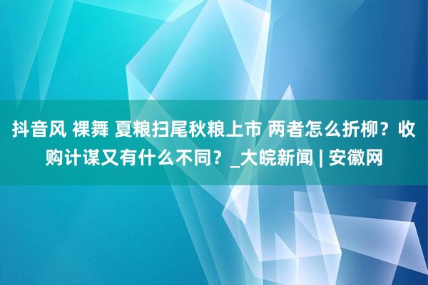 抖音风 裸舞 夏粮扫尾秋粮上市 两者怎么折柳？收购计谋又有什么不同？_大皖新闻 | 安徽网