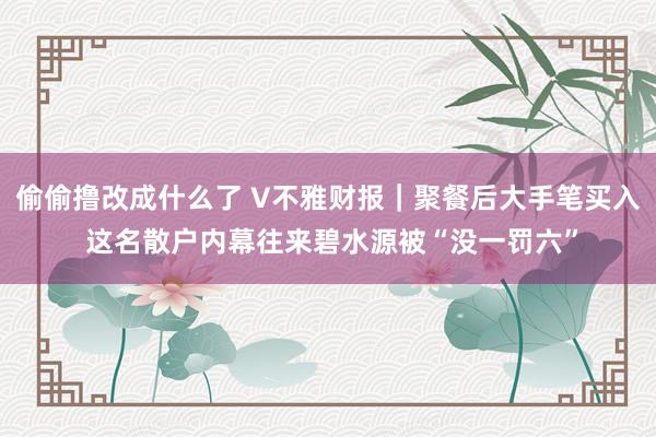 偷偷撸改成什么了 V不雅财报｜聚餐后大手笔买入 这名散户内幕往来碧水源被“没一罚六”