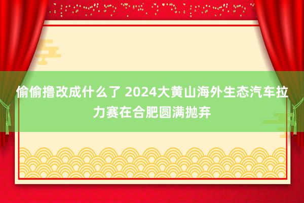 偷偷撸改成什么了 ﻿2024大黄山海外生态汽车拉力赛在合肥圆满抛弃