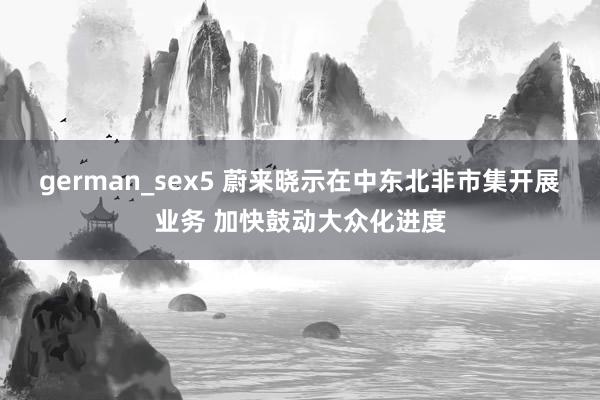 german_sex5 蔚来晓示在中东北非市集开展业务 加快鼓动大众化进度