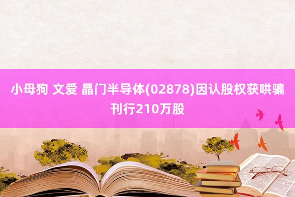 小母狗 文爱 晶门半导体(02878)因认股权获哄骗刊行210万股