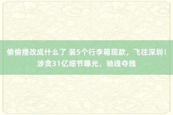 偷偷撸改成什么了 装5个行李箱现款，飞往深圳！涉贪31亿细节曝光，驰魂夺魄