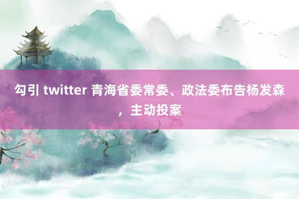 勾引 twitter 青海省委常委、政法委布告杨发森，主动投案