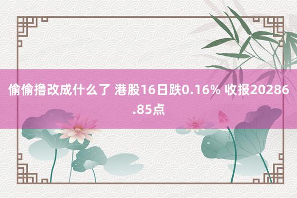 偷偷撸改成什么了 港股16日跌0.16% 收报20286.85点