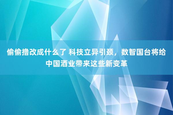 偷偷撸改成什么了 科技立异引颈，数智国台将给中国酒业带来这些新变革