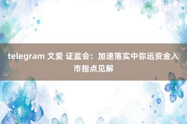 telegram 文爱 证监会：加速落实中弥远资金入市指点见解