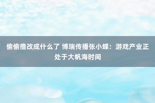 偷偷撸改成什么了 博瑞传播张小蝶：游戏产业正处于大帆海时间