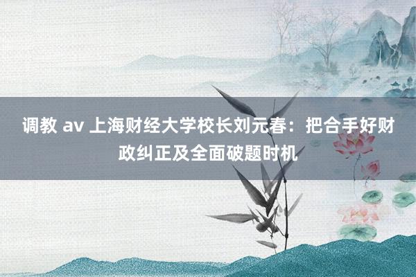 调教 av 上海财经大学校长刘元春：把合手好财政纠正及全面破题时机