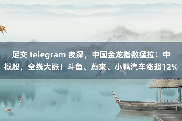 足交 telegram 夜深，中国金龙指数猛拉！中概股，全线大涨！斗鱼、蔚来、小鹏汽车涨超12%