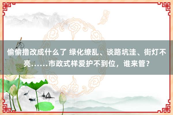 偷偷撸改成什么了 绿化缭乱、谈路坑洼、街灯不亮……市政式样爱护不到位，谁来管？