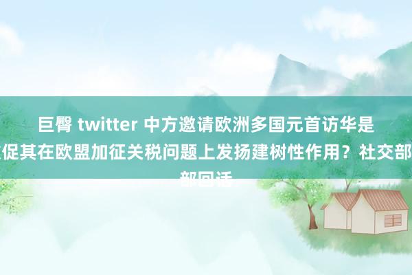 巨臀 twitter 中方邀请欧洲多国元首访华是为敦促其在欧盟加征关税问题上发扬建树性作用？社交部回话