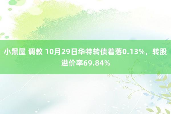 小黑屋 调教 10月29日华特转债着落0.13%，转股溢价率69.84%