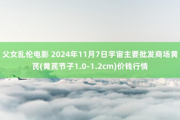 父女乱伦电影 2024年11月7日宇宙主要批发商场黄芪(黄芪节子1.0-1.2cm)价钱行情