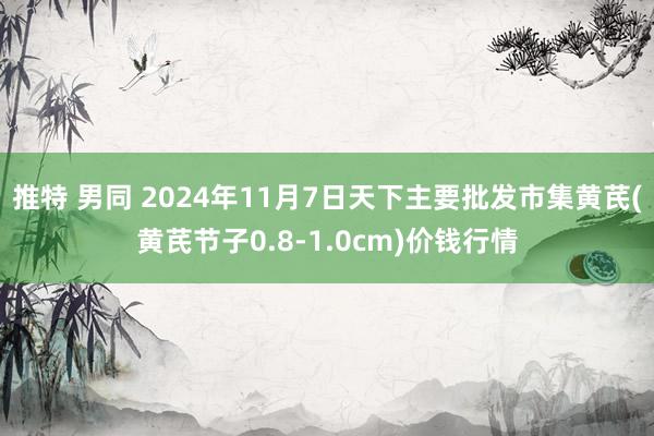 推特 男同 2024年11月7日天下主要批发市集黄芪(黄芪节子0.8-1.0cm)价钱行情